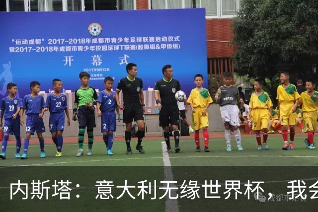 内斯塔：意大利无缘世界杯，我会支持恩师安帅和好友卡纳瓦罗
